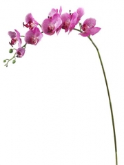 Name:	<br />
Color No.:#LH0055<br />
Desc:<br />
Packing:	<br />
FOB Price:$