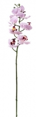 Name:	<br />
Color No.:#LH0053<br />
Desc:<br />
Packing:	<br />
FOB Price:$