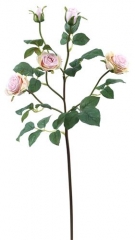 Name:	<br />
Color No.:#021<br />
Desc:<br />
Packing:	<br />
FOB Price:$