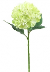 Name:	<br />
Color No.:#LH0016<br />
Desc:<br />
Packing:	<br />
FOB Price:$