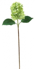 Name:	<br />
Color No.:#031<br />
Desc:<br />
Packing:	<br />
FOB Price:$