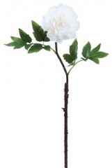 Name:	<br />
Color No.:#Q0001<br />
Desc:<br />
Packing:	<br />
FOB Price:$
