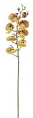 Name:	<br />
Color No.:#LH0091<br />
Desc:<br />
Packing:	<br />
FOB Price:$