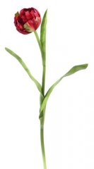 Name:	<br />
Color No.:#LH0006<br />
Desc:<br />
Packing:	<br />
FOB Price:$