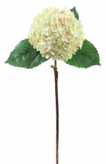 Name:	<br />
Color No.:#100<br />
Desc:<br />
Packing:	<br />
FOB Price:$