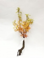 Name:	<br />
Color No.:#YG08<br />
Desc:<br />
Packing:	<br />
FOB Price:$