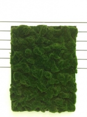 Name:	<br />
Color No.:G01<br />
Desc:<br />
Packing:	<br />
FOB Price:$