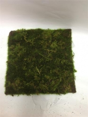 Name:	<br />
Color No.:G01<br />
Desc:<br />
Packing:	<br />
FOB Price:$