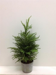 Name:	<br />
Color No.:F024<br />
Desc:<br />
Packing:	<br />
FOB Price:$
