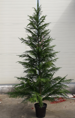 Name:	<br />
Color No.:066<br />
Desc:<br />
Packing:	<br />
FOB Price:$