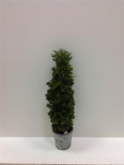 Name:	<br />
Color No.:067<br />
Desc:<br />
Packing:	<br />
FOB Price:$