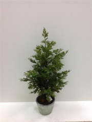 Name:	<br />
Color No.:066<br />
Desc:<br />
Packing:	<br />
FOB Price:$