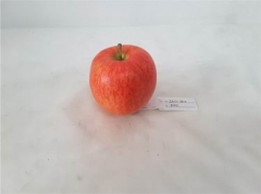 Name:	<br />
Color No.:PNG51<br />
Desc:<br />
Packing:	<br />
FOB Price:$