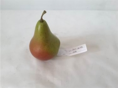 Name:	<br />
Color No.:LG94<br />
Desc:<br />
Packing:	<br />
FOB Price:$