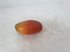 Name:	<br />
Color No.:CH27<br />
Desc:<br />
Packing:	<br />
FOB Price:$