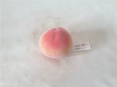 Name:	<br />
Color No.:CH34<br />
Desc:<br />
Packing:	<br />
FOB Price:$