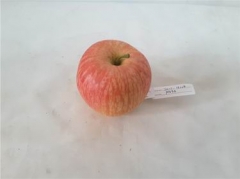 Name:	<br />
Color No.:PNG94<br />
Desc:<br />
Packing:	<br />
FOB Price:$