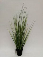 Name:	<br />
Color No.:HGR-001<br />
Desc:<br />
Packing:	<br />
FOB Price:$
