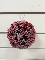 Name:	<br />
Color No.:R27<br />
Desc:<br />
Packing:	<br />
FOB Price:$