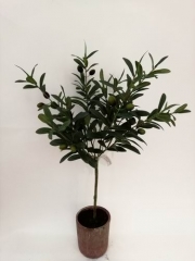 Name:	<br />
Color No.:H18006<br />
Desc:<br />
Packing:	<br />
FOB Price:$