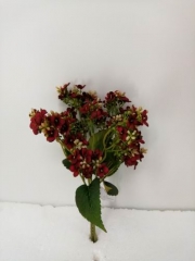 Name:	<br />
Color No.:5<br />
Desc:<br />
Packing:	<br />
FOB Price:$