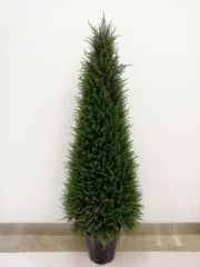 Name:	<br />
Color No.:<br />
Desc:<br />
Packing:	<br />
FOB Price:$