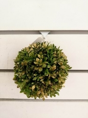 Name:	<br />
Color No.:G75<br />
Desc:<br />
Packing:	<br />
FOB Price:$
