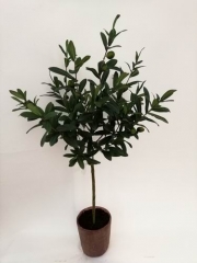 Name:	<br />
Color No.:H18006<br />
Desc:<br />
Packing:	<br />
FOB Price:$