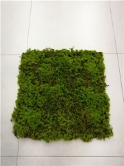 Name: 	<br />
Color No.:<br />
Desc:<br />
Packing:	<br />
FOB Price:$