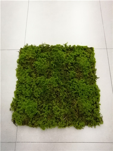 Item No.:JA66EA3306-S003