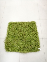Name: 	<br />
Color No.:<br />
Desc:<br />
Packing:	<br />
FOB Price:$