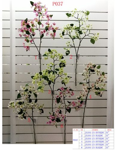 Item No.:P037