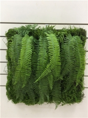 Name: 	<br />
Color No.:<br />
Desc:<br />
Packing:	<br />
FOB Price:$