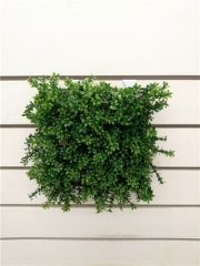 Name: 	<br />
Color No.:<br />
Desc:<br />
Packing:	<br />
FOB Price:$