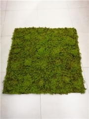 Name: 	<br />
Color No.:<br />
Desc:<br />
Packing:	<br />
FOB Price:$