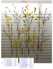 Name: 	<br />
Color No.:<br />
Desc:<br />
Packing:	<br />
FOB Price:$