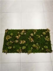 Name: 	<br />
Color No.:<br />
Desc:<br />
Packing:	<br />
FOB Price:$