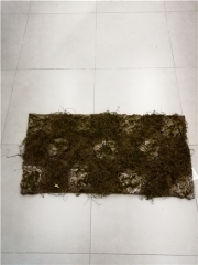 Name: 	<br />
Color No.:<br />
Desc:<br />
Packing:	<br />
FOB Price:$