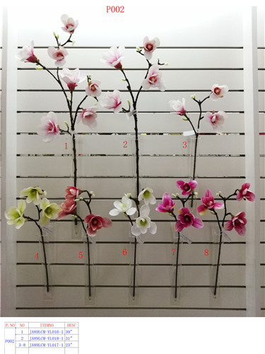 Item No.:P002