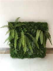 Name: 	<br />
Color No.:<br />
Desc:<br />
Packing:	<br />
FOB Price:$