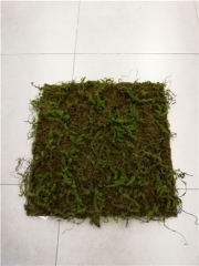 Name: 	<br />
Color No.:<br />
Desc:<br />
Packing:	<br />
FOB Price:$