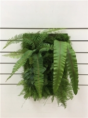 Name: 	<br />
Color No.:<br />
Desc:<br />
Packing:	<br />
FOB Price:$