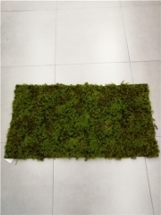 Name: 	<br />
Color No.:<br />
Desc:<br />
Packing:	<br />
FOB Price:$