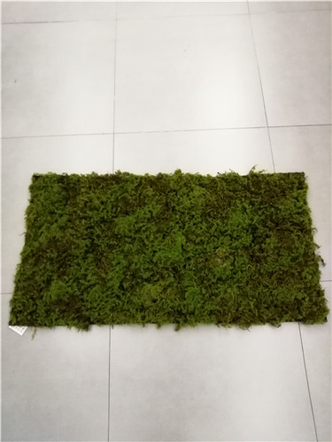 Item No.:JA66EA3307-S003
