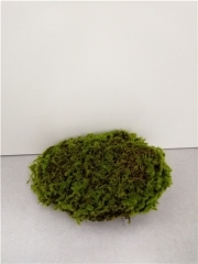 Name: 	<br />
Color No.:<br />
Desc:<br />
Packing:	<br />
FOB Price:$