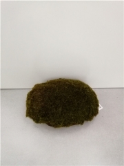 Name: 	<br />
Color No.:<br />
Desc:<br />
Packing:	<br />
FOB Price:$