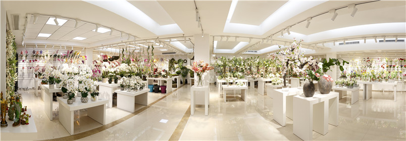 Showroom