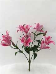 JA89LCM-HZ018<br />
Col: #52PK<br />
21" LILY TIGER BUSH