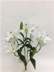 JA89LCM-HZ018<br />
Col: #CR01<br />
21" LILY TIGER BUSH