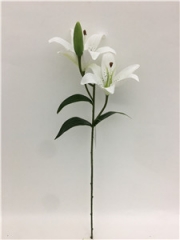 JA89LCM-HZ018-3<br />
Col: #WH02<br />
25" LILY TIGER BUSH